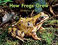 Link to book How Frogs Grow