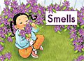 link to book Smells