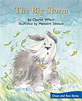 Link to book The Big Storm