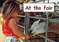 Link to book At the Fair
