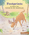 Link to book Footprints