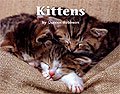 Link to book Kittens