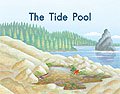 Link to book The Tide Pool