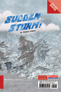 Link to book Sudden Storm