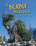 Link to book A Deadly Mistake