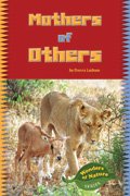 Link to book Mothers of Others