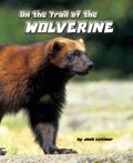 Link to book On the Trail of the Wolverine