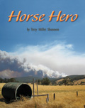 Link to book Horse Hero