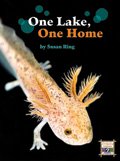 Link to book One Lake One Home