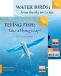 Flying Fish/Water Birds (Two-way)