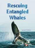 Rescuing Entangled Whales