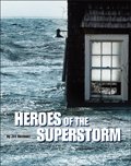 Heroes of the Superstorm