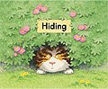 link to book Hiding
