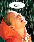 link to book Rain