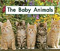 link to book The Baby Animals