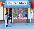 link to book The Pet Store