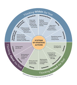 Systems of Strategic Actions for K-8, PreK, and Spanish